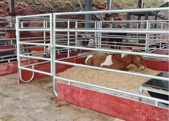 Hot Dipped Galvanized Horse Fence Panels For Farm Animals Heavy Duty Livestock Panels