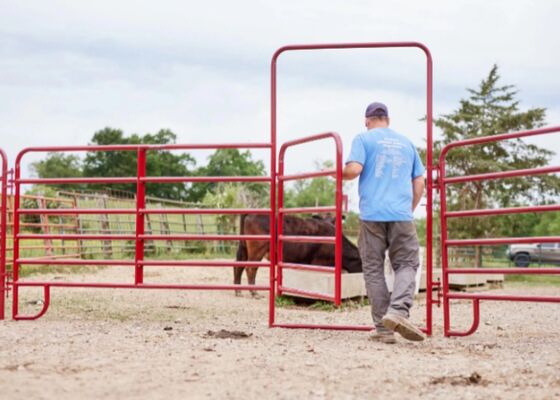 4ft 5ft Galvanized Portable Metal Steel Fence Panels Livestock Farm Fence For Horse Cattle
