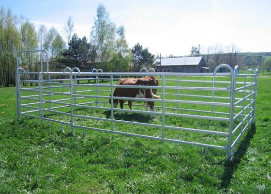 Livestock Yard Panels Galvanized Livestock Fence for Farm Sorting Yards