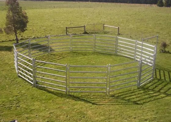 Metal Livestock Fence Livestock Panel Fence 2.1m 5 Rails for Training Arenas