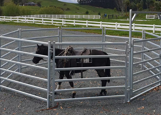 Panneaux de clôture galvanisés pour bétail Panneau de corral pour bétail pour arènes d'équitation