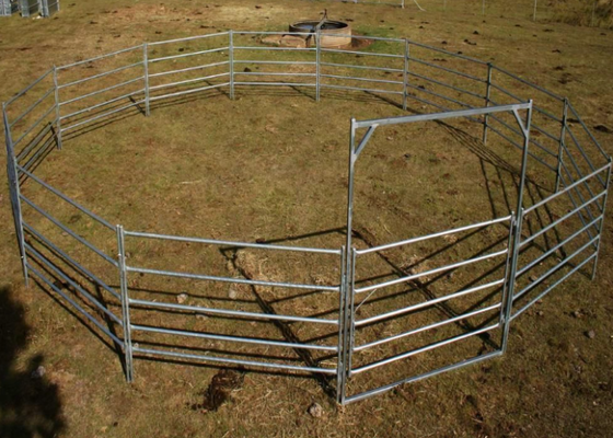 Pâteaux pour chevaux lourds Clôtures pour bétail 2,1 m pour le tri du bétail
